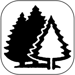 Other Camp Expenses